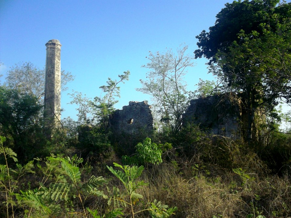 Cancabchén Casares, Yucatán (11)
