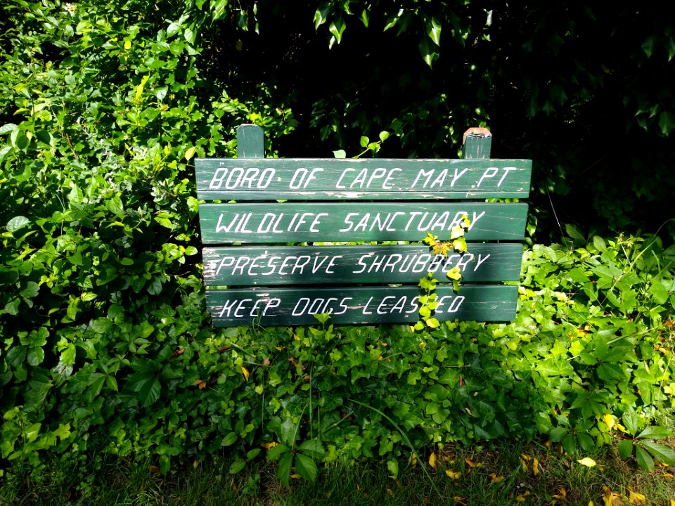 Cape May Point sign 1