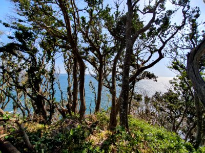 Cape Daibusa 9