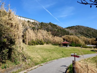 Cape Daibusa, afternoon 4