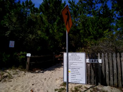 Cape Beach CPM