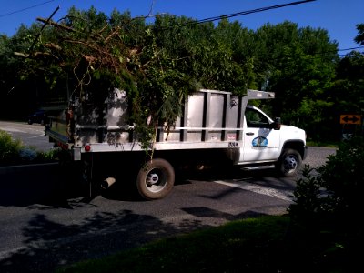 Cape May Point utility truck A