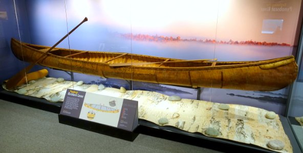 Canoe, Penobscot, purchased in 1912 in Old Town, Maine, mapple, birch bark - Native American collection - Peabody Museum, Harvard University - DSC05800