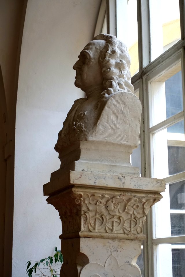Carl v. Linné - Museu Botânico da Universidade de Coimbra - University of Coimbra - Coimbra, Portugal - DSC09019