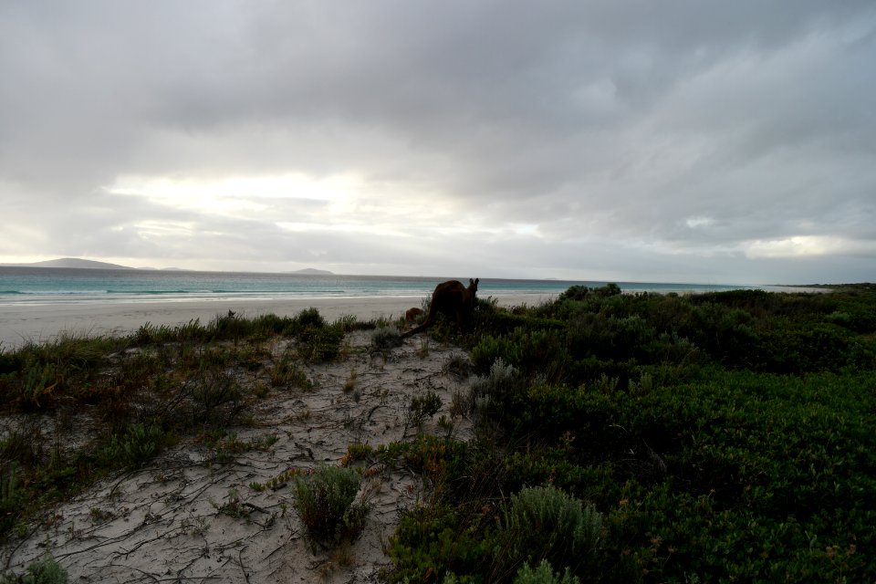 Cape Le Grand National Park, Western Australia 46