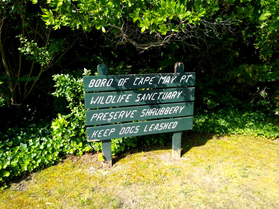 Cape May Point sign B
