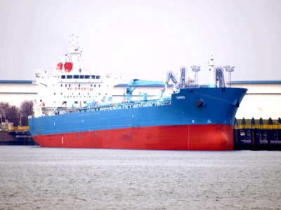 Cargo, IMO 9380570