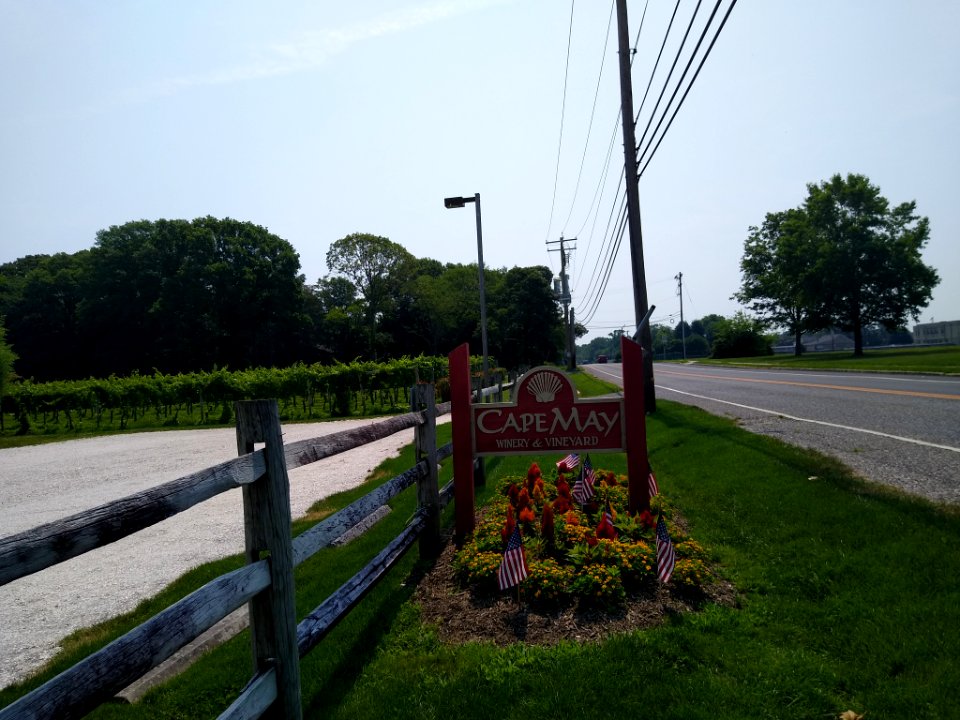 Cape May Winery sign