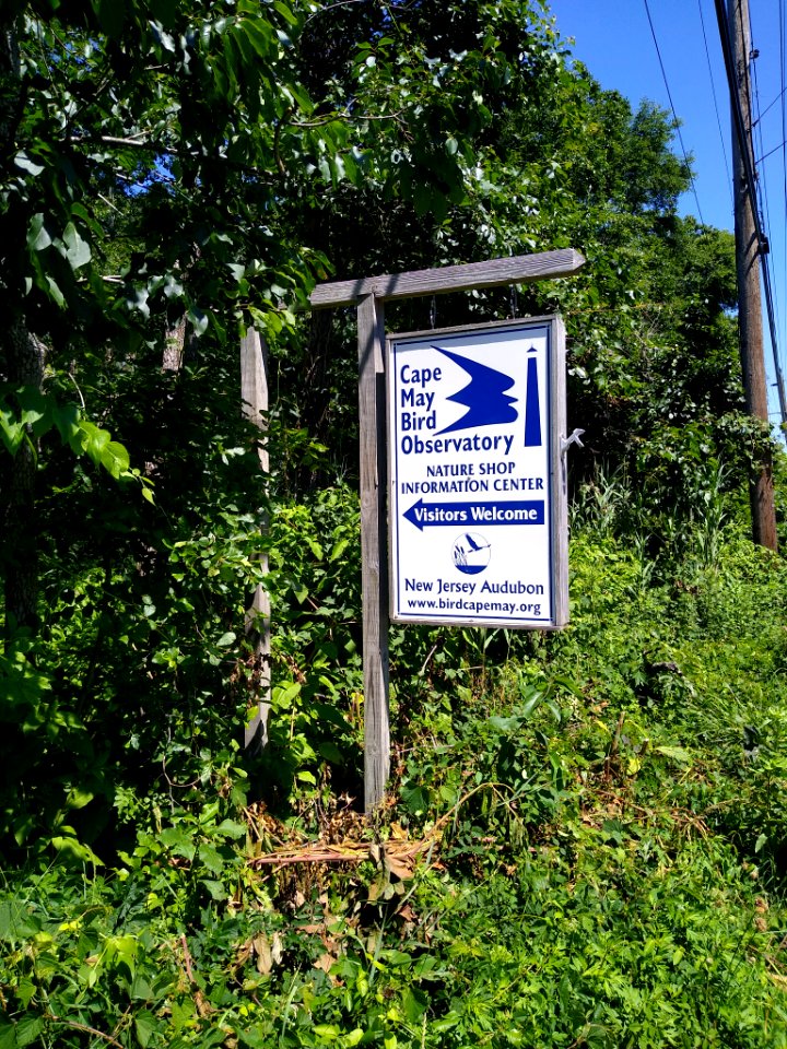 Cape May Bird Observatory CMP sign