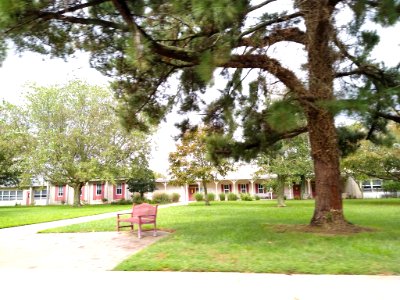CapeMayCityElementary