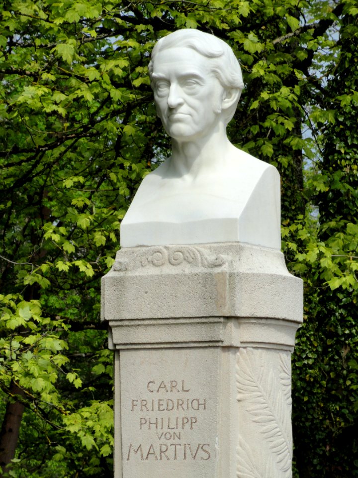 Carl Friedrich Philipp von Martius memorial - DSC07558