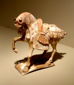 Caparisoned horse, Shaanxi or Henan province, China, Tang dynasty, 600s-700s AD, earthenware, gesso, traces of red pigment - Portland Art Museum - Portland, Oregon - DSC08389