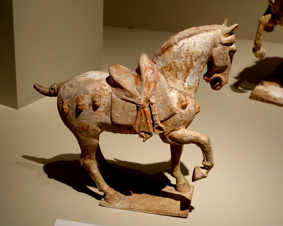 Caparisoned horse, Shaanxi or Henan province, China, Sui to early Tang dynasty, late 500s-600s AD, earthenware, gesso, traces of black and red pigment - Portland Art Museum - Portland, Oregon - DSC08387