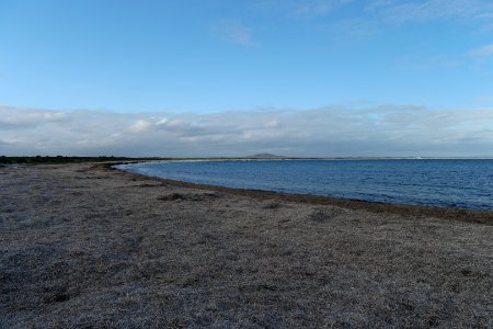 Cape Le Grand National Park, Western Australia 40