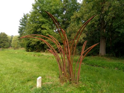 Carex-Segge Andrea Anderseck (2013) 2020-09-23 03