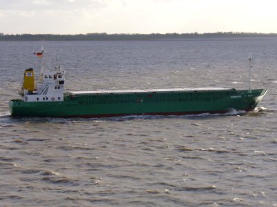 Cargo Ship Ingeborg Pilot (2)