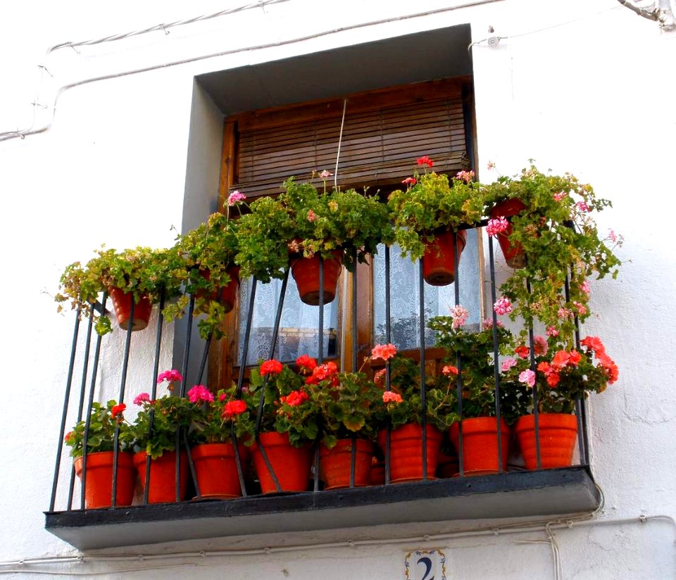 Cariñena 20