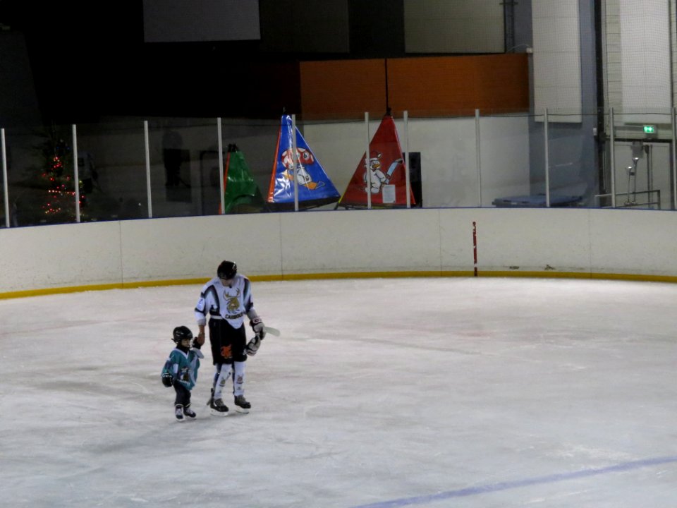 Caribous de Seine-et-Marne - Réserve des Ducs de Dijon - 02