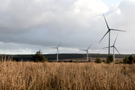 Wind wind farm windmills photo