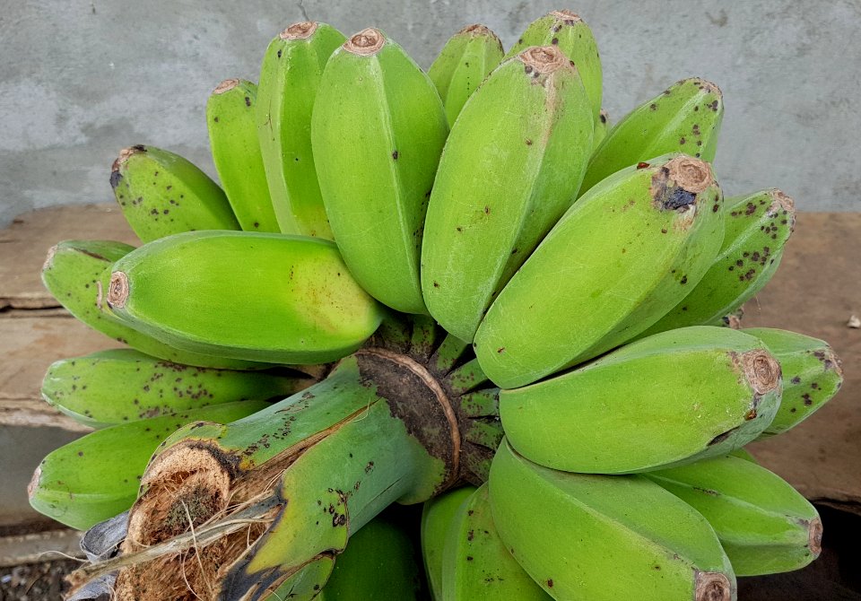 Cardava (Cardaba, Kardaba) bananas (Mindanao, Philippines) 2