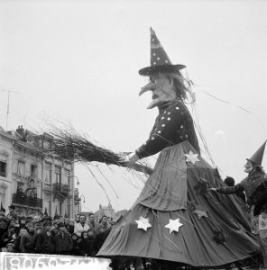 Carnavalsoptocht in Den Bosch, Bestanddeelnr 912-0908