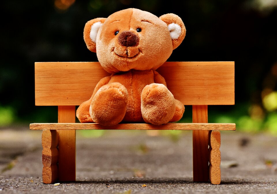 Teddy bear bear fun