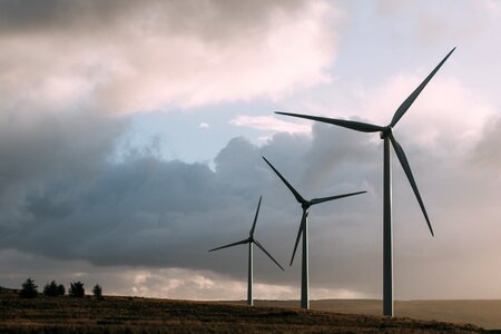 Renewable energy ecology wind turbines photo