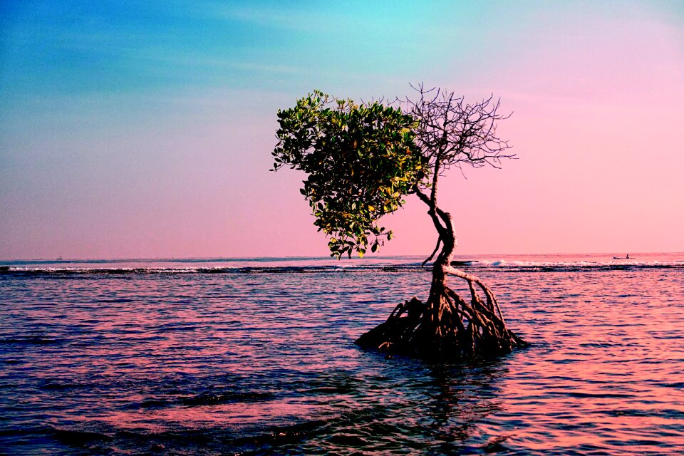 Nature sea sky