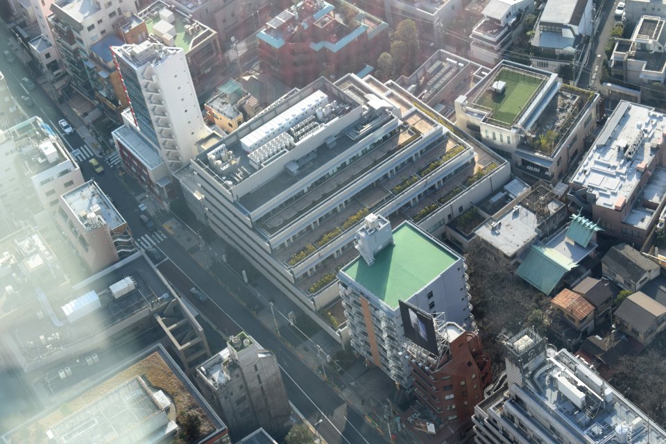 Cardiovascular Institute Hospital, from Mori Tower