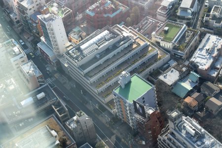 Cardiovascular Institute Hospital, from Mori Tower