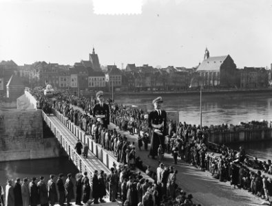 Carnavalsoptocht in Maastricht, Bestanddeelnr 904-9805