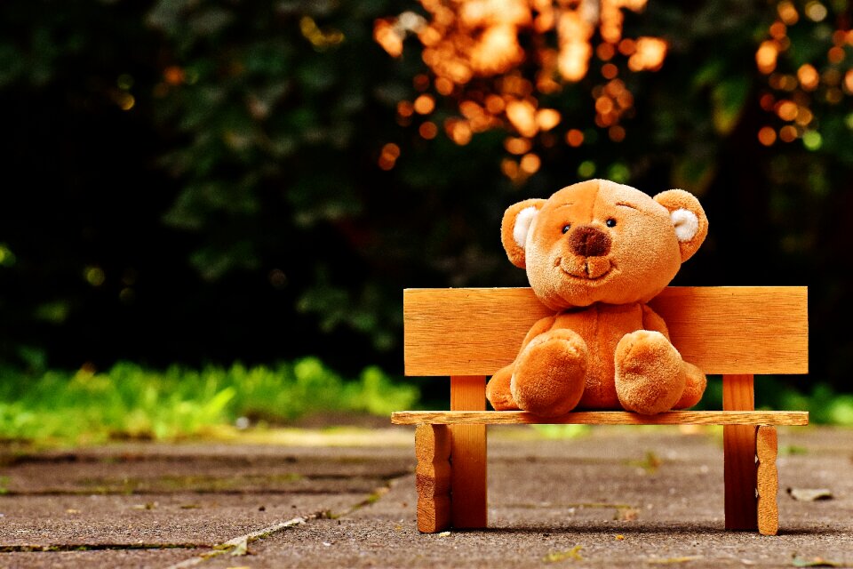 Teddy bear bear fun