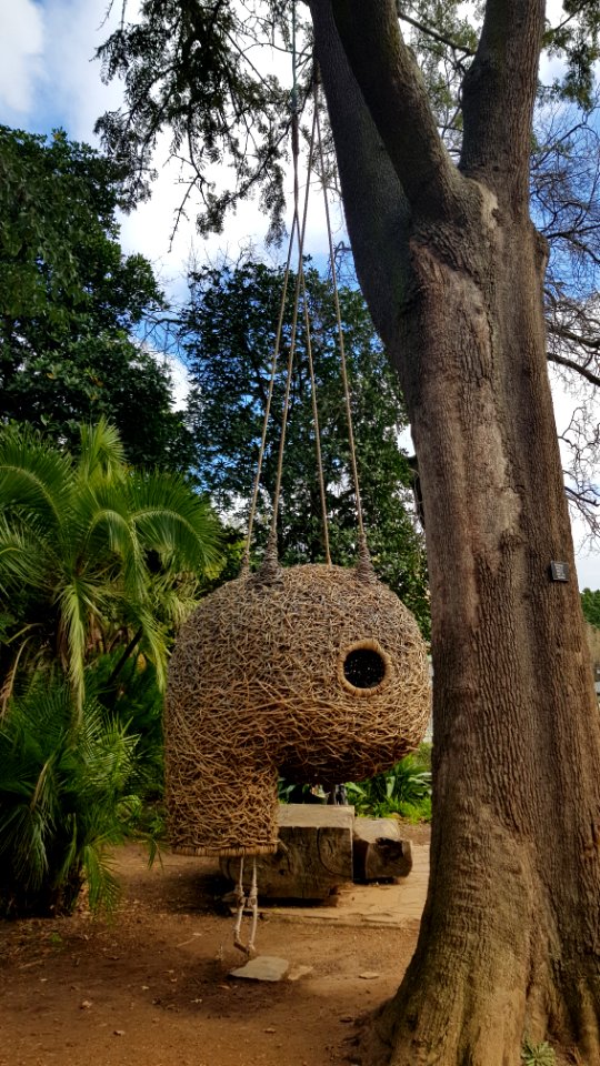 Cape Town - Company's Garden (3)