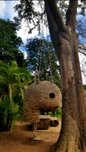 Cape Town - Company's Garden (3)