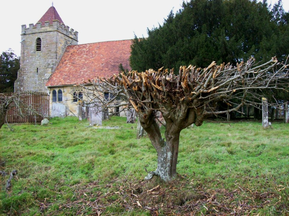 Capel church from north