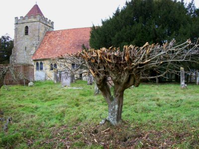 Capel church from north