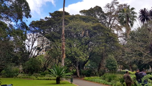Cape Town - Company's Garden (1)