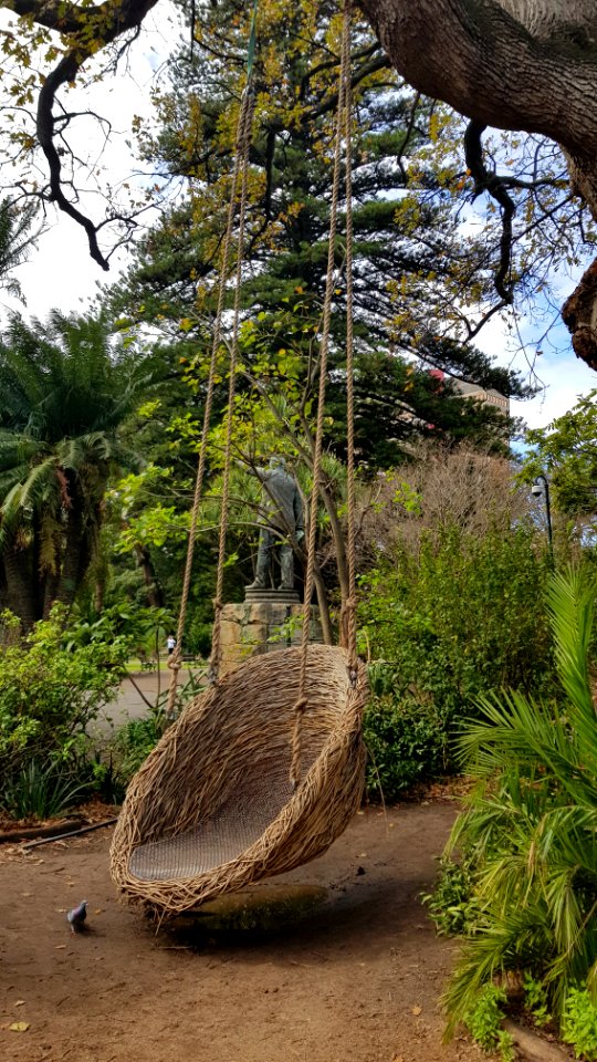 Cape Town - Company's Garden (4)
