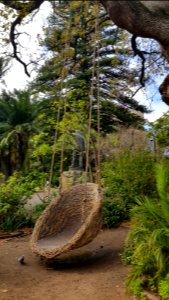 Cape Town - Company's Garden (4)