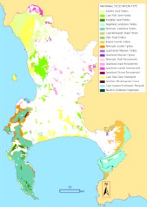Cape Town Vegetation Types 2 - current surviving vegetation