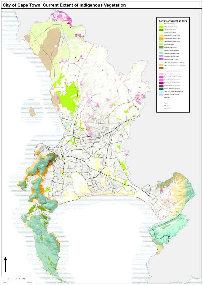 Cape Towns surviving vegetation types