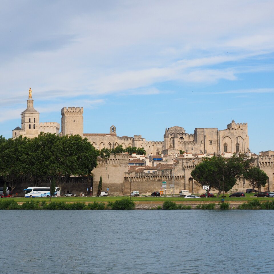 Cathedral palais des papes roman catholic cathedral