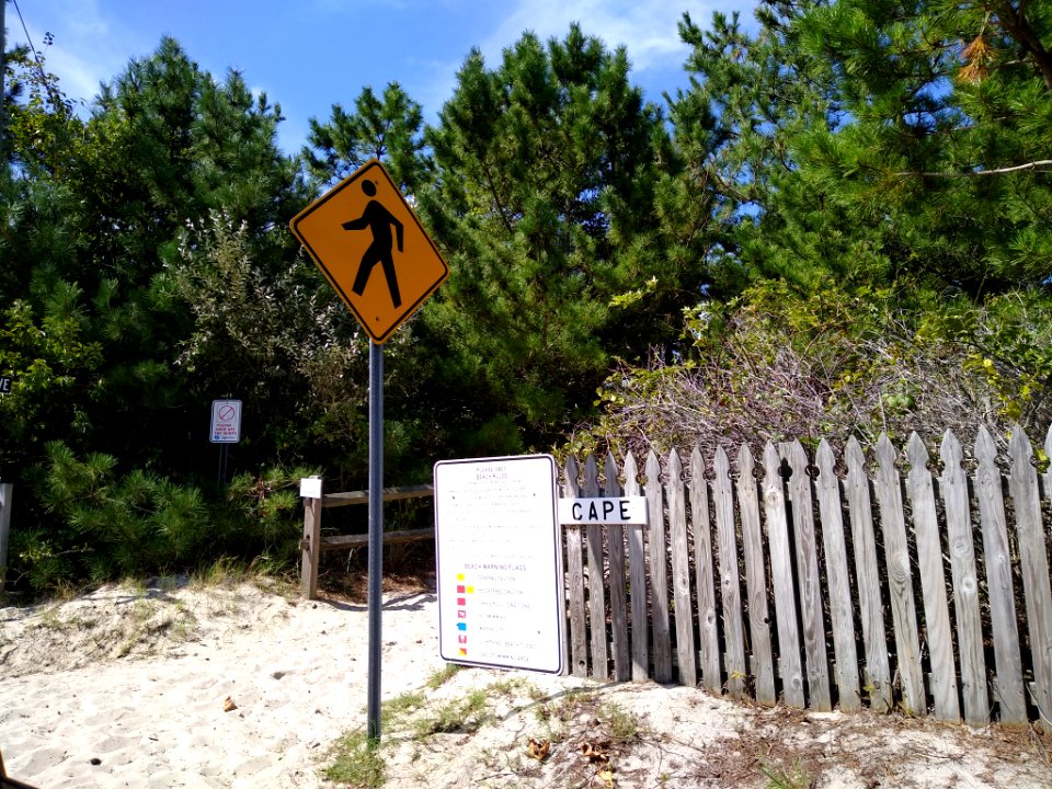 CapeBeachinCapeMayPoint