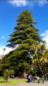 Cape Town - Company's Garden (5)