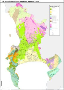 Cape Towns original vegetation types