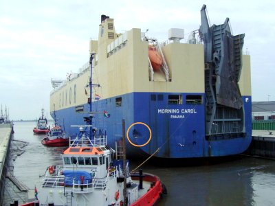 Car carrier Morning Carol 2011-07-26 (4)