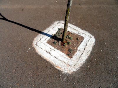 Car park - Brasilia - DSC00099