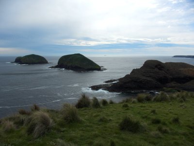Cape-Grim-and-The-Doughboys-20160924-018