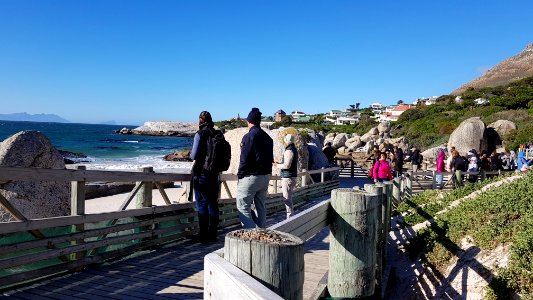 Cape Town - Boulders Beach (2)