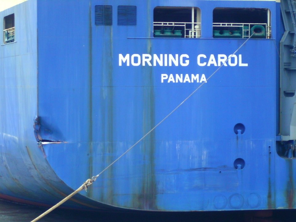 Car carrier Morning Carol 2011-07-26 (5)
